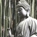 오계제3소교량 | 다산 정약용 술의 폐해 경계와 불교 오계의 불음주