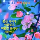 스마일해피 이미지