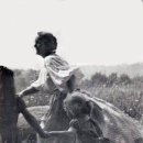 초지 359 이미지