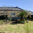 명월성 돌담집 이미지