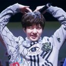 루루강아지 이미지