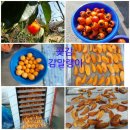 장전서당골 영농조합법인 이미지