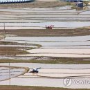 농기계임대 사내(광덕)분소 이미지