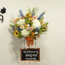 화환앤플라워