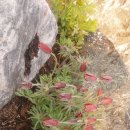 거두2리 이미지