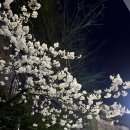 하이츄우