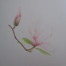 꽃그림 색연필화 이미지