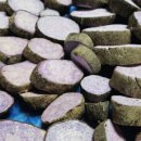 윤찬농장 이미지