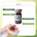 비엔뷔바이오랩(주) 이미지