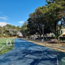 위미초등학교 병설유치원 이미지