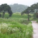 청웅중학교 이미지