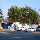 석관동9 이미지