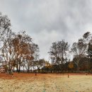 임고초등학교 이미지