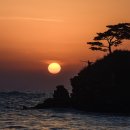 판관오리 이미지