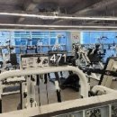 수영 메디세움 이미지