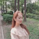 티엔티 컴퍼니 이미지