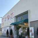 계룡산편백숲입구 | 공주 동학사 맛집 편백숲샤브길 동학사점 계룡산 맛집 추천