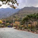 향림오토캠핑장 이미지