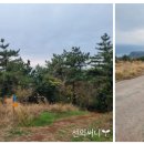 안덕면 감산리 346-1 이미지