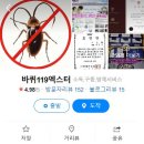 도봉-도봉-서울도봉-2138 이미지