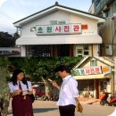 초원 이미지