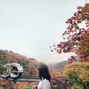화담조경 이미지