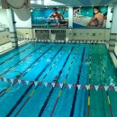 엠휘트니스9 | 강서구 마곡 수영장 엠스타휘트니스 자유수영 후기