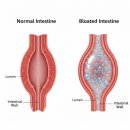 내강한의원 이미지