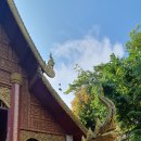 해피그린 이미지