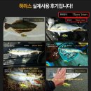 하라스 이미지