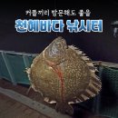 12 | 인천 천혜바다 낚시터 12시간 이용 후기 및 비용 총정리