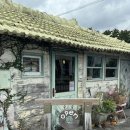 270-2566 | [일본/오키나와] 렌트카여행 2일차 : 시마도넛 / 카페 하코니와 / 비세후쿠기길 / 카페 비세스타일...