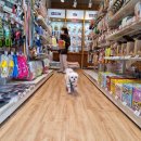 견생냥품 무인24시 세종대평동점 이미지