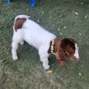 대불주거2로 이미지