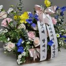 단지 | 부산 엄궁 화훼 단지 식물 쇼핑 후기 (달빛고사리, 쉐프렐라 하트 리프)