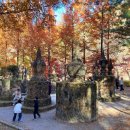 산림욕장 이미지