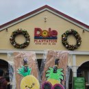 신행농장 이미지