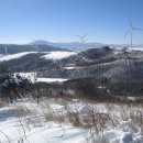 대관령 선자령 (1,157m)눈꽃 산행 이미지