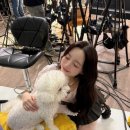 라이프업 이미지