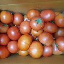 더품 | 농라 <더드림팜> 무농약 완숙토마토 공품4.5kg 후기