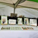 거울아 거울아 내가 젤 예쁘지? 이미지