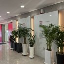 로제유외과의원 이미지