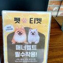 화성카페 CMC카페모던코드베이커리 솔직 이용후기, 아쉬운 티슈브레드
