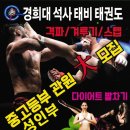 경희대 석사 태비 태권도 이미지