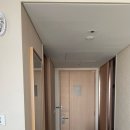 롯데시티호텔 제주 이미지