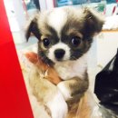 태극김밥천국 이미지