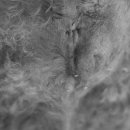 상일 쓰담쓰담 동물병원 이미지