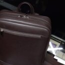 똘똘하개 이미지