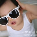 포포나무스튜디오 네이버블로그