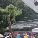 매직플라워 - 아산시 읍내남길 12 | 매직플라워